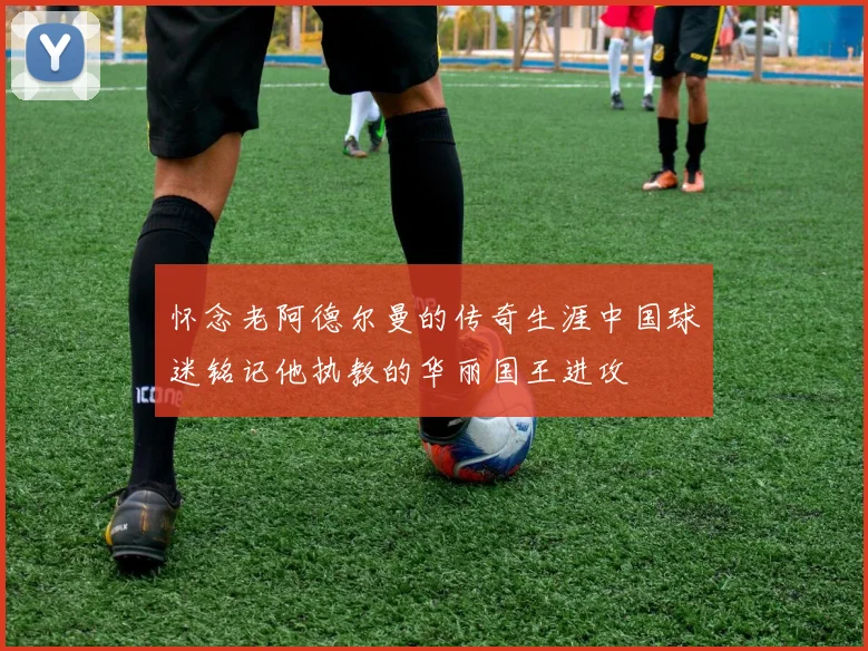 怀念老阿德尔曼的传奇生涯中国球迷铭记他执教的华丽国王进攻