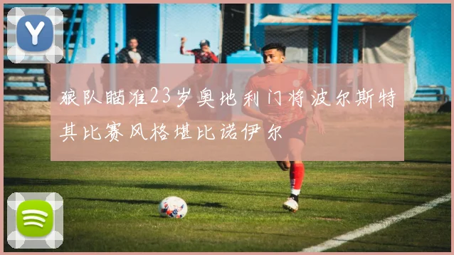 狼队瞄准23岁奥地利门将波尔斯特其比赛风格堪比诺伊尔